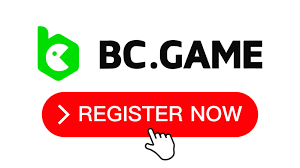 Comprehensive Guide to BCStavka Casino Your Ultimate Gambling Resource